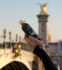 RENDEZ-VOUS Á PARIS